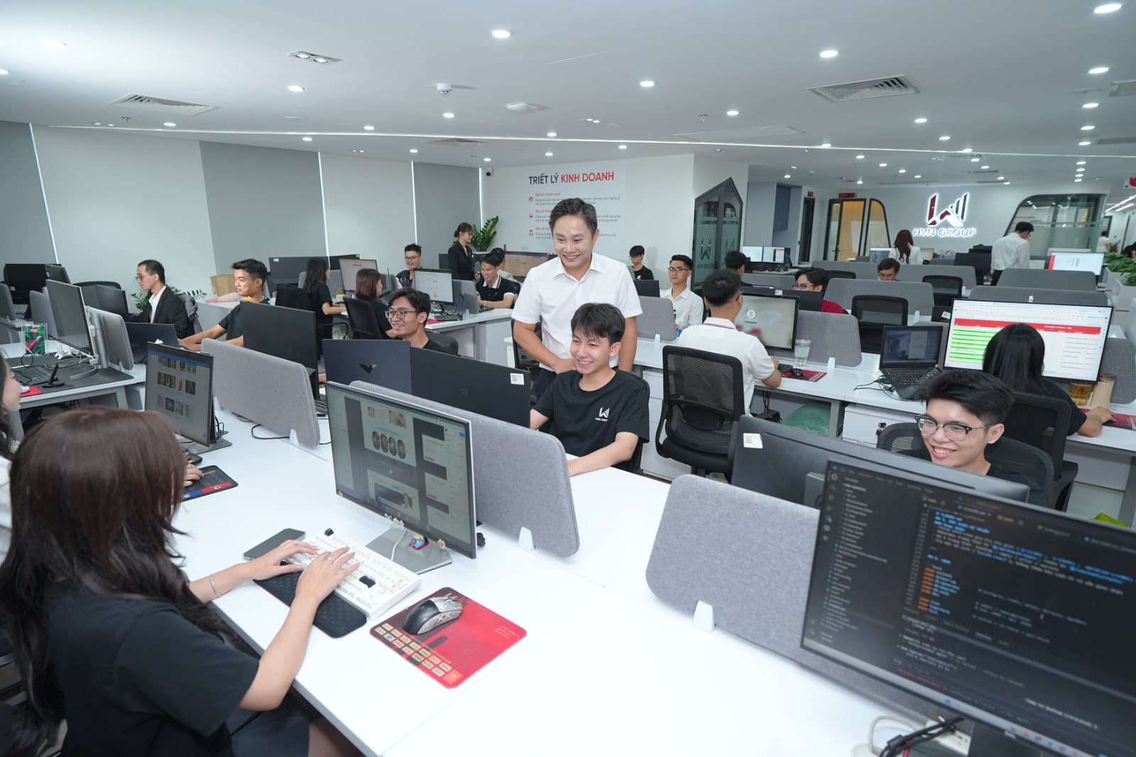 Đội ngũ HVN Group làm việc tại văn phòng